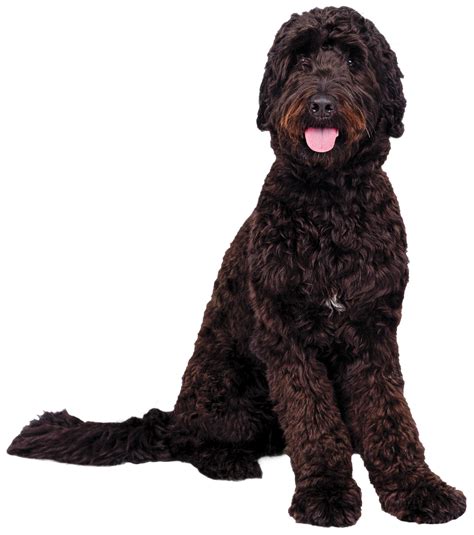 NJIT’s Jersey Girl | NJIT Magazine