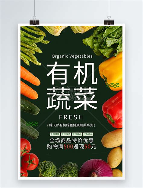 有机食品海报,有机食品宣传海报,有机食品有哪些_大山谷图库
