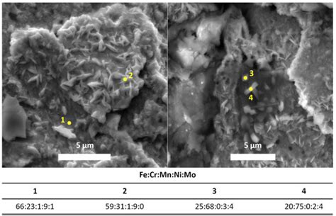 Phase Changes in the Surface Layer of Stainless Steel Annealed at a ...