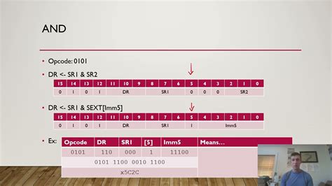 LC3 Tutorial 的图像结果