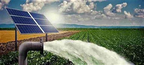 Budget 2021: Pivotal transformation for agriculture growth in new ...