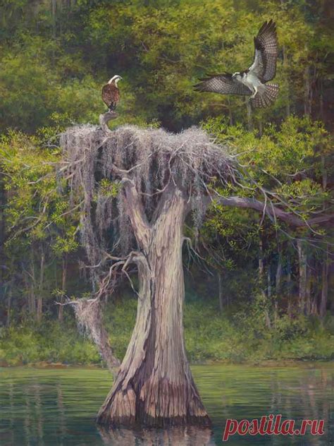Blue Cyprus Lake by Laurie Snow Hein Blue Cyprus Lake Painting by ...