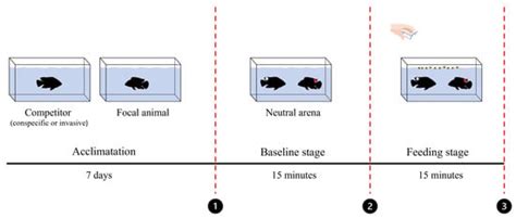 Eat First, Fight Later: Competitive Advantage of an Invasive Cichlid ...