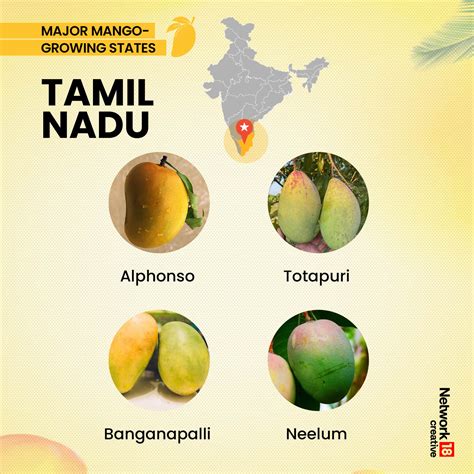 From Alphonso To Gulabkhas, Varieties Of Mangoes Are Grown Across ...