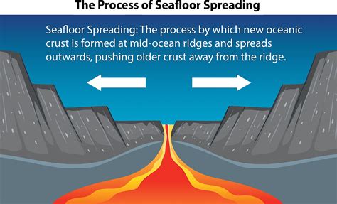 Sea Floor 的图像结果