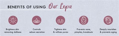 Nat Habit Fresh Gulab Khus Ksheer Lepa Face Mask For Pore Refining ...