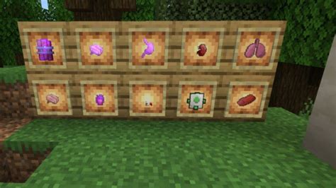 Image result for Minecraft Surgery Mod Gameplay