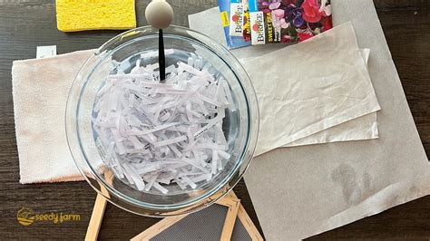 Image result for Seed Papermaking Using Tissues