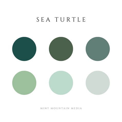 Sea Turtle Color Palette | Mint Mountain Media