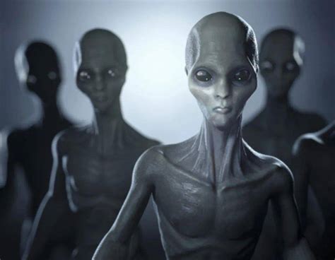 如果外星人存在，它们是长什么样子的？科学家：这4种可能！_腾讯新闻