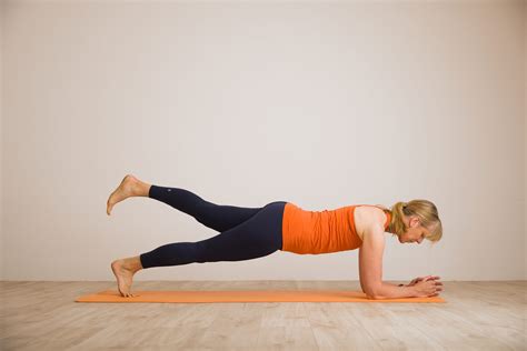 What Is A Plank Leg Lift at Nicholas Barrallier blog