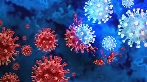 Delhi Witnesses Increase In Viral And Bacterial Infection Cases ...