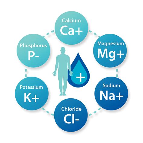 Electrolytes In The Body