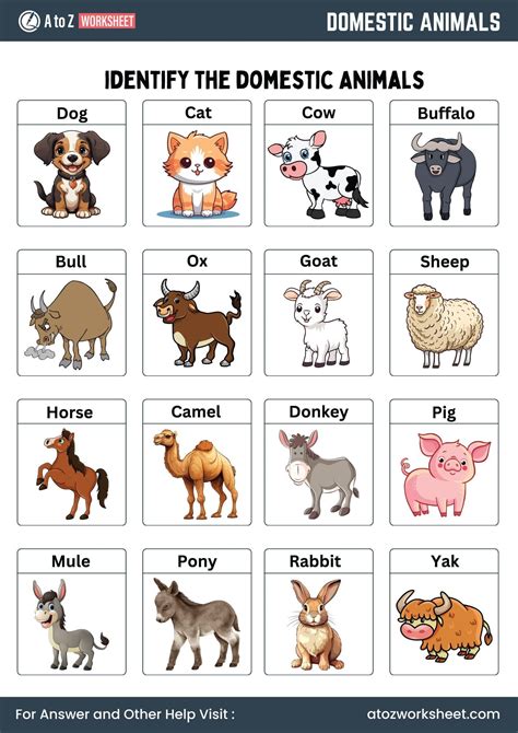 Animals Worksheet 的图像结果