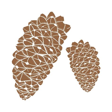 Pine cone Images - Free Download on Freepik