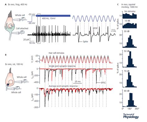 Image result for Phase Locking Control