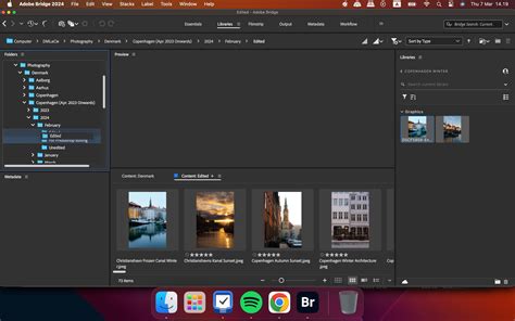 Domine o Adobe Bridge: Guia Completo para Iniciantes