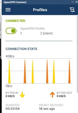 Установка и настройка OpenVPN сервера под Windows | Windows для ...