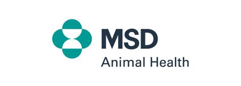 The Goa Campaign // Goa Campaign