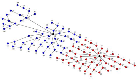 Wind Farm Cable Connection Layout Optimization with Several Substations