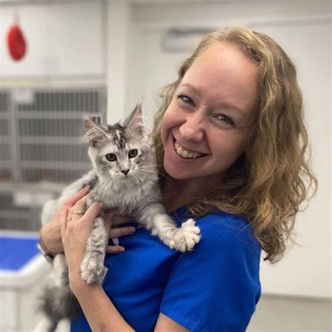 Laser Therapy for Dogs & Cats in Indianapolis, IN | Broad Ripple Animal ...