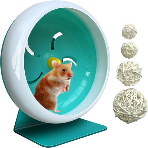 Hamster Wheel,Silent Hamster Wheel,Silent India | Ubuy