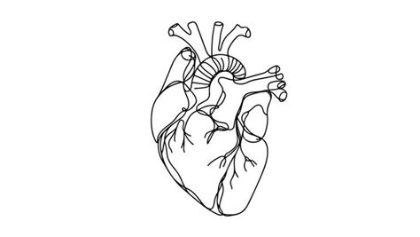 Realistic Heart Drawing Images – Browse 106,518 Stock Photos, Vectors, and Video | Adobe Stock