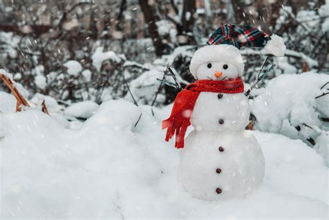 Danvers Public Schools