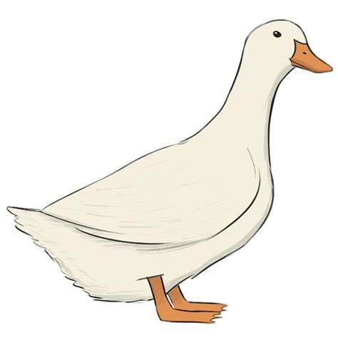 Image result for Simple Duck Drawing