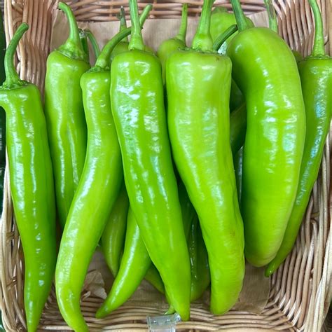 Turkish Sweet Long Pepper (500GR) – Parkway Greens Grocery