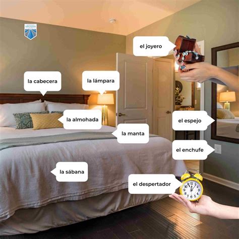 Spanish Bedroom Vocabulary at Betty Mcclusky blog