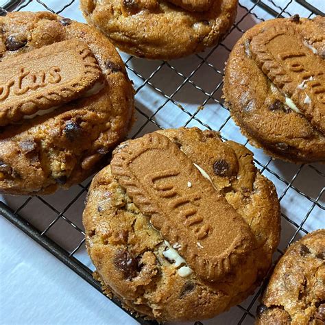Lotus Biscoff Delta Cookies Calories at Jeffrey Worsham blog