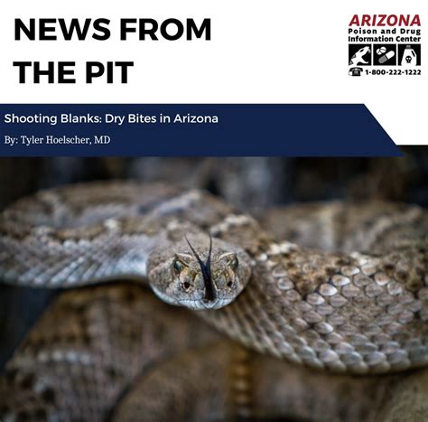 Western Rattlesnake Bite Rattlesnakes Grand Canyon National Park