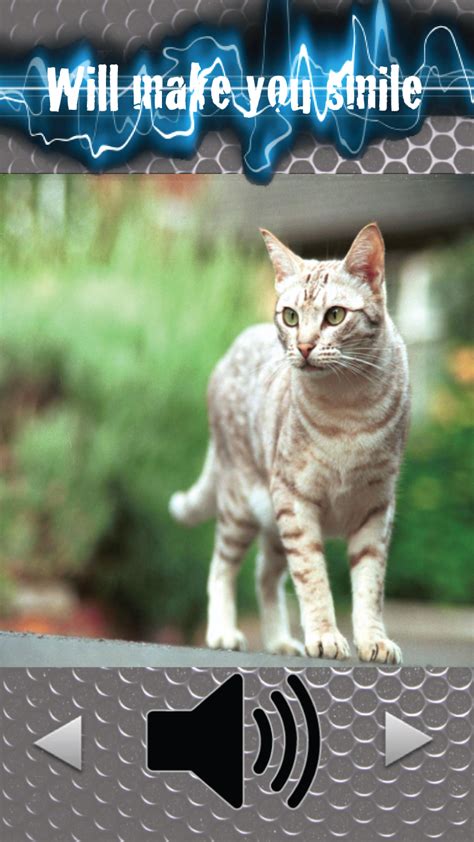 Kitty Sounds Games - App on Amazon Appstore