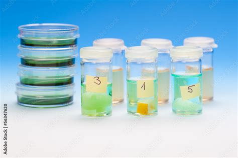 Image result for Animal Tissue Sample Collection Vials