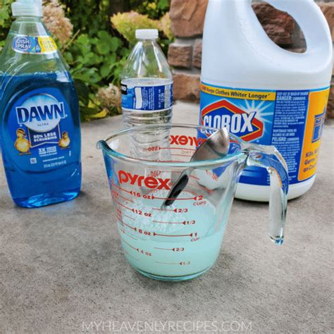 diy vinegar weed killer