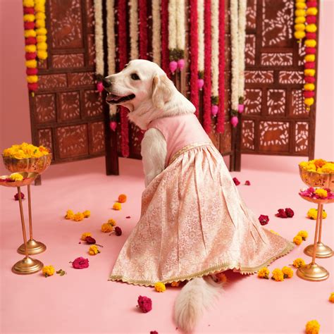 LUXE Collection – Floof and Co