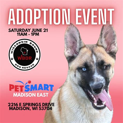 Meet Adoptable Dogs!, PetSmart (2216 E Springs Dr, Madison, WI), 21 ...