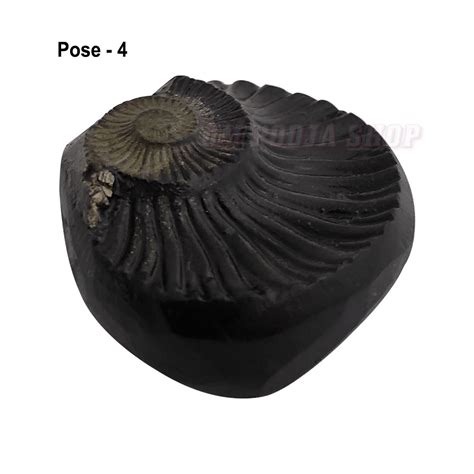 Buy Surya Narayan Shaligram Shila Stone online