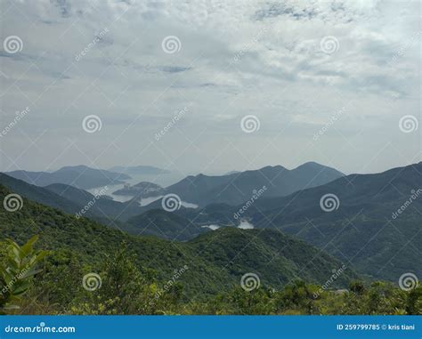 Nature View 的图像结果