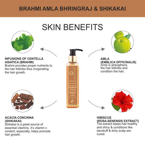 Hair Shampoo - Brahmi Amla Bhringraj & Shikakai – bodygoldindia