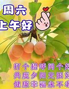 Image result for 早上九时