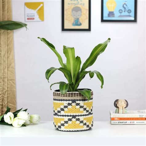 Plants, Pots, Tools & Accessories - Online Garden Store | Urban Plant