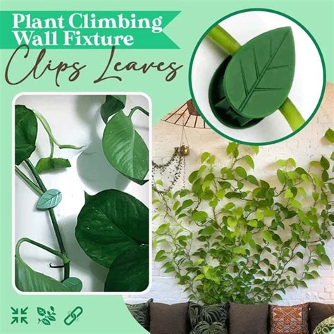 Buy 20pcs Leaf Shape Plant Climb Online - 99Wholesale – 99wholesale