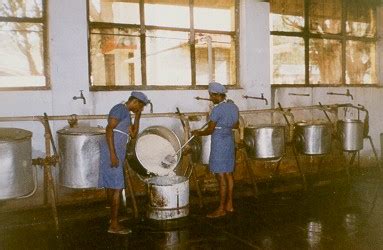 Tamil Nadu Prison Department - Organisation Chart