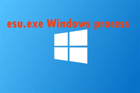 Image result for EXEFile Automatic Eucy