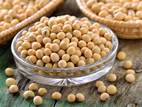 vegetarian Protein Foods: Can't eat egg or meat? Check out these ...