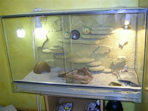 Tiere Kleinanzeigen | Tiere Anzeigenmarkt | Tiere Marktplatz | Tiere ...