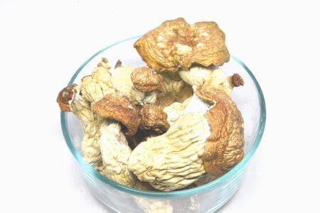 Image result for 2 Code Blue