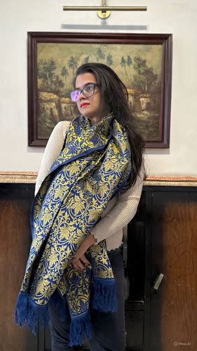 Royal Kaagaz Ka Jaal Himroo Shawl | LoomKatha